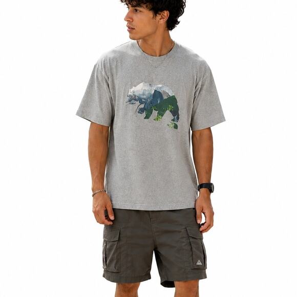 The North Face Other - The North Face Men's XL Bear Graphic T-Shirt Tee Gray Outdoors Hiking Activewear